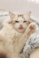 Cama Pet Nuvem Peluciada